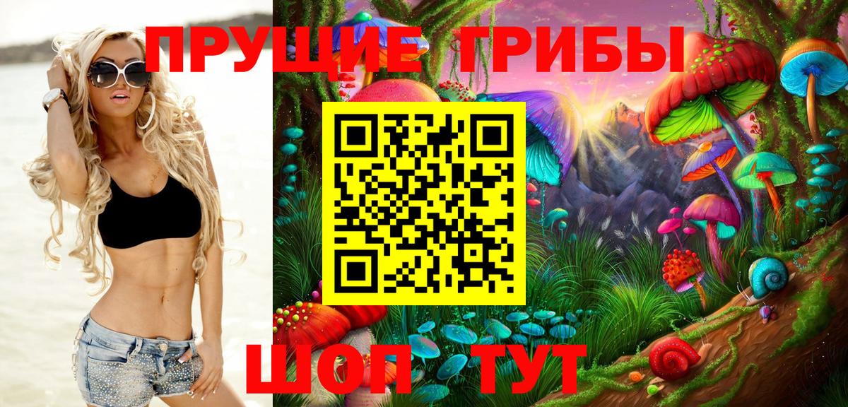 Волгоград  Псилоцибиновые грибы GOLDEN TEACHER  где купить наркоту  Вход с VPN 